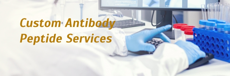 Custom Antibody Services