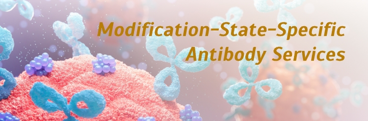 Modification-sate-specific Antibody Services Banner
