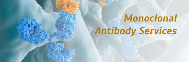 Custom Antibody Services
